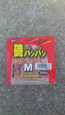 泡瀬漁港での餌はエビやサビキ